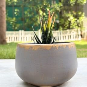 Terracotta Pot - Distressed Gold Rim - Modern Aesthetic Planter - For Indoor/Outdoor Decor, For Plants, Flowers, And Herbs (Grey)
