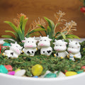 imported miniatures ( pack of 5) cows | Shelf Décor | Miniature Figurine| Shelf Décor | Resin Home décor | Gift Items| Fairy Garden Accessories | Doll House Accessories