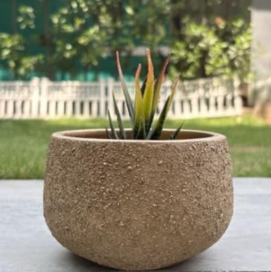Terracotta Pot - Textured Gold Bowl - Modern Aesthetic Planter - For Indoor/Outdoor Decor, For Plants, Flowers, And Herbs (Gold)