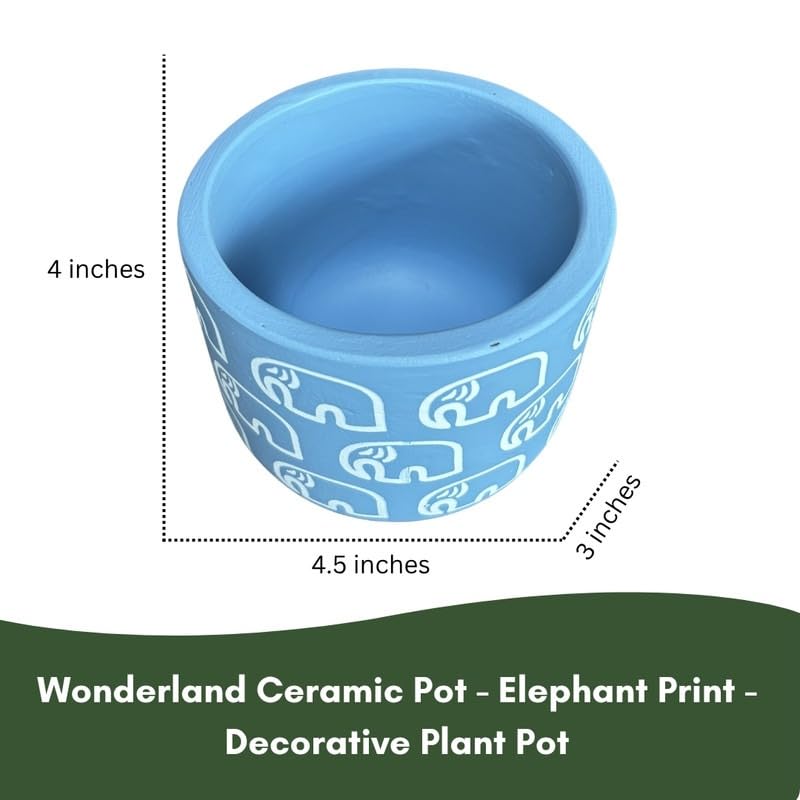 Terracotta Pot - Elephant Print - Cute Plant Pot - For Indoor/Outdoor Decor, For Plants, Flowers, And Herbs (Blue)