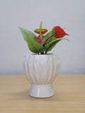 Modern Small Round Ceramic Flower Planter