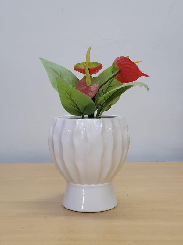 Modern Small Round Ceramic Flower Planter