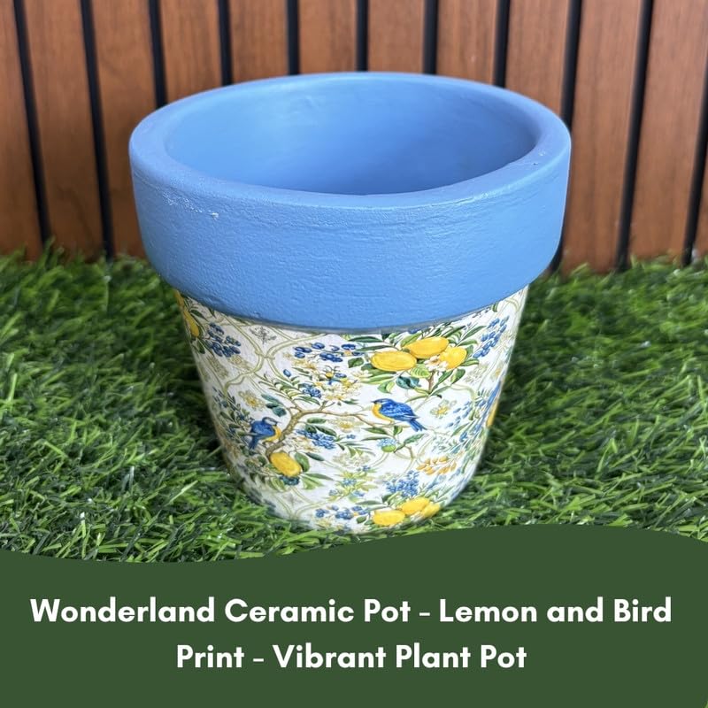 Terracotta Pot - Lemon and Bird Print - Vibrant Plant Pot - For Indoor/Outdoor Decor, For Plants, Flowers, And Herbs Blue