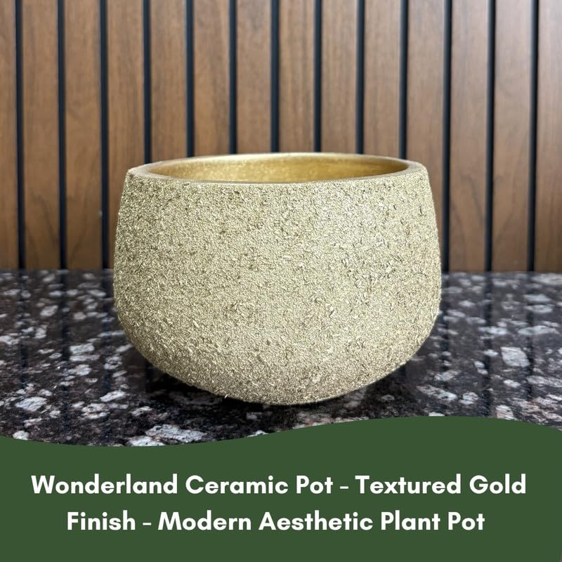 Terracotta Pot - Textured Gold Bowl - Modern Aesthetic Planter - For Indoor/Outdoor Decor, For Plants, Flowers, And Herbs (Gold)