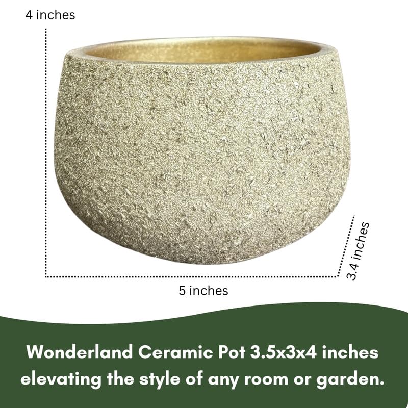 Terracotta Pot - Textured Gold Bowl - Modern Aesthetic Planter - For Indoor/Outdoor Decor, For Plants, Flowers, And Herbs (Gold)