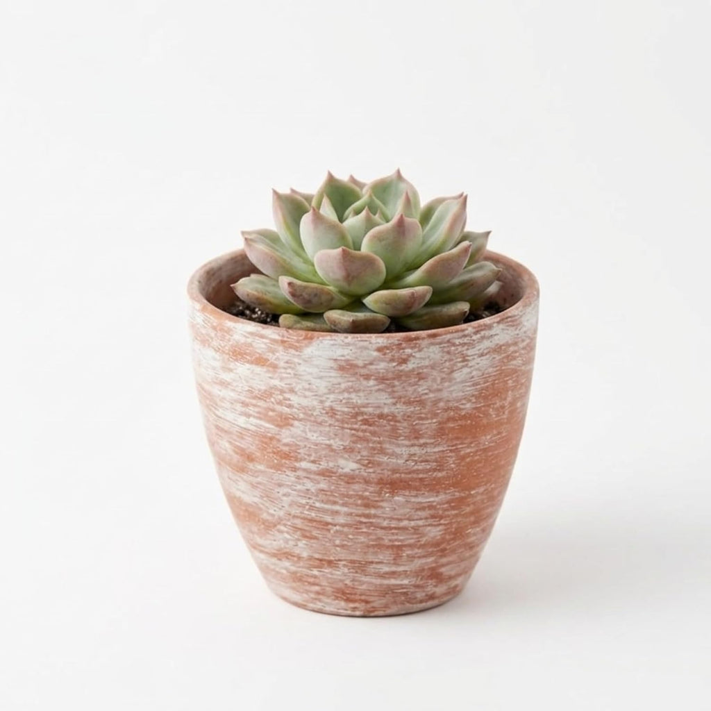 Hand-Finished Distressed Terracotta Planter – 5-Inch Rustic Weathered Clay Pot for Succulents, Herbs, and Indoor Plants