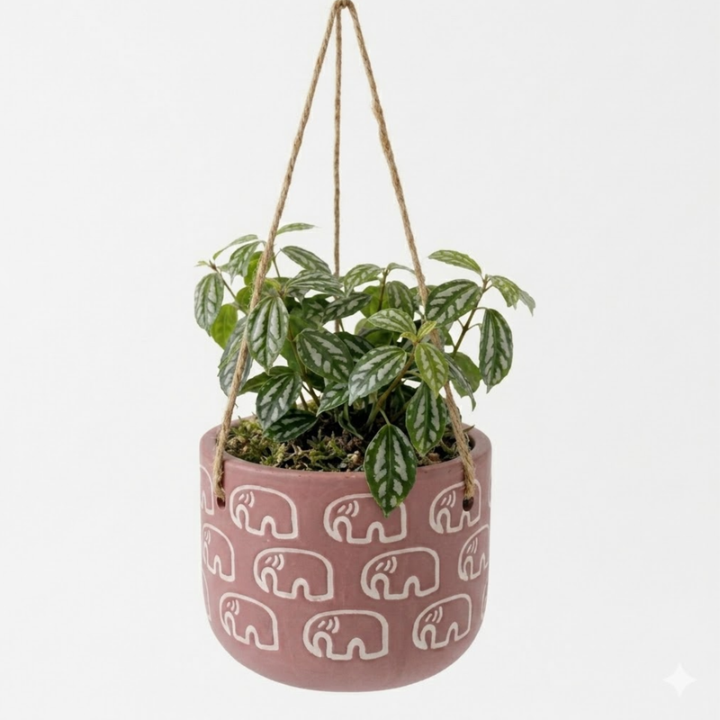 Terracotta Elephant Print  Hanging Planter-Hanging Planter-Cute Plant Pot - For Indoor/Outdoor Decor,( Plant not included)