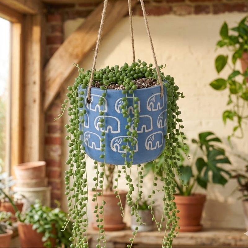 Elephant Motif Blue Terracotta Hanging Planter – Small Decorative Succulent Pot
