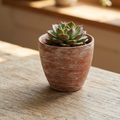 Hand-Finished Distressed Terracotta Planter – 5-Inch Rustic Weathered Clay Pot for Succulents, Herbs, and Indoor Plants