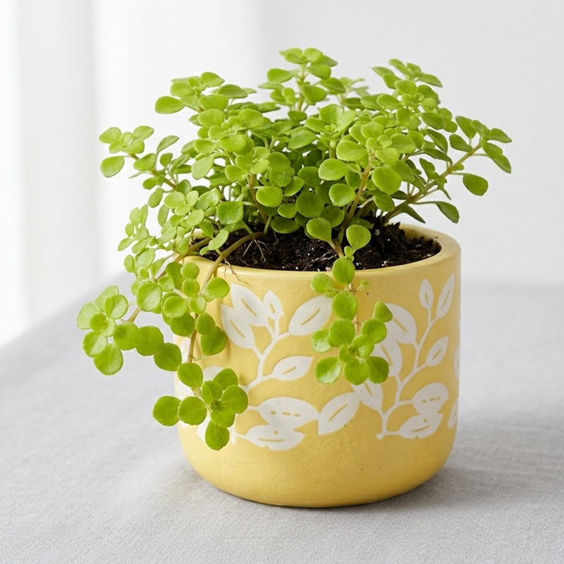 4.3-Inch Yellow Terracotta Planter – Hand-Painted White Leaf Motif Decorative Succulent Pot
