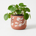 4.3-Inch Hand-Painted Terracotta Planter - White Leaf Botanical Cylinder Pot for Succulents, Cacti, and Modern Home Decor