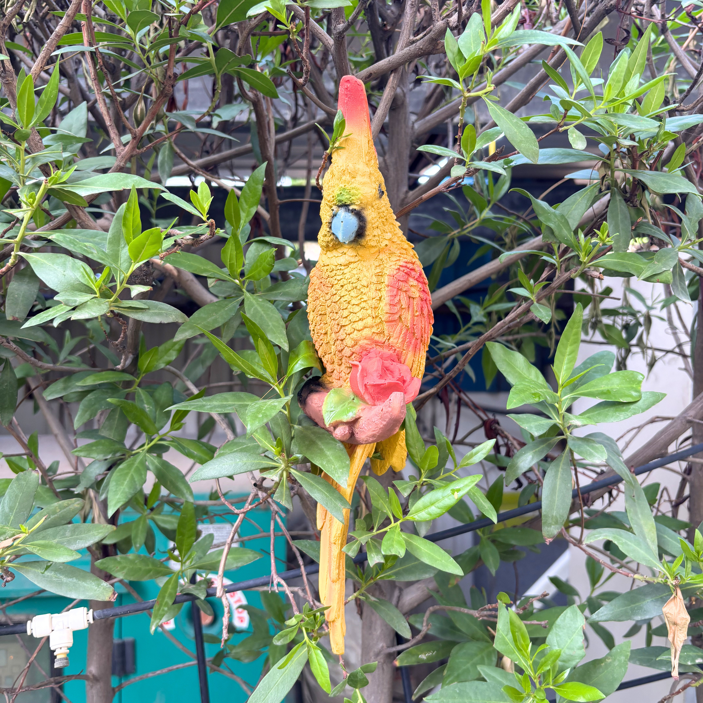 Hanging Green Parrot ( Set of 2 ) Garden Figurine