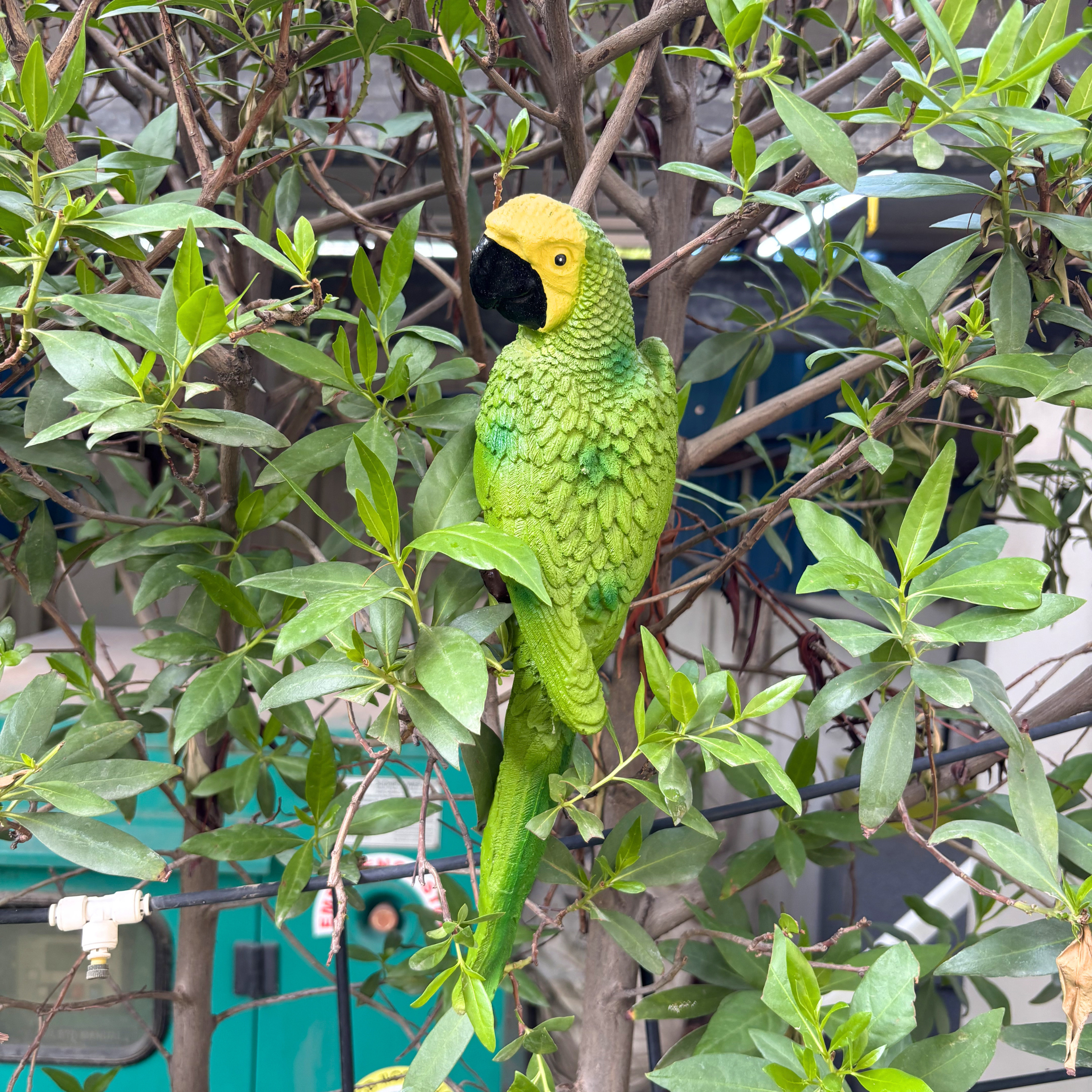 Hanging Green Parrot Garden Figurine
