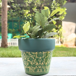 Terracotta Pot - Aestheitc Plant Pots Elegant Designs - Flower Print - For Indoor/Outdoor Decor, For Plants, Flowers, And Herbs