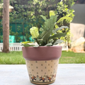 Terracotta Pot - Mughal Elephant Print - Aesthetic Plant Pots - For Indoor/Outdoor Decor, For Plants, Flowers, And Herbs (Brown)