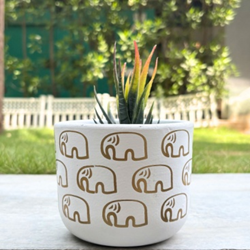 terracotta Pot - Elephant Print - Cute Plant Pot - For Indoor/Outdoor Decor, For Plants, Flowers, And Herbs (White)