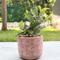 Terracotta Pot - Elephant Print - Cute Plant Pot - For Indoor/Outdoor Decor, For Plants, Flowers,