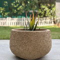 Terracotta Pot - Textured Gold Bowl - Modern Aesthetic Planter - For Indoor/Outdoor Decor, For Plants, Flowers, And Herbs (Gold)
