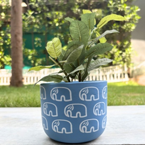 Terracotta Pot - Elephant Print - Cute Plant Pot - For Indoor/Outdoor Decor, For Plants, Flowers, And Herbs (Blue)