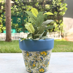 Terracotta Pot - Lemon and Bird Print - Vibrant Plant Pot - For Indoor/Outdoor Decor, For Plants, Flowers, And Herbs Blue
